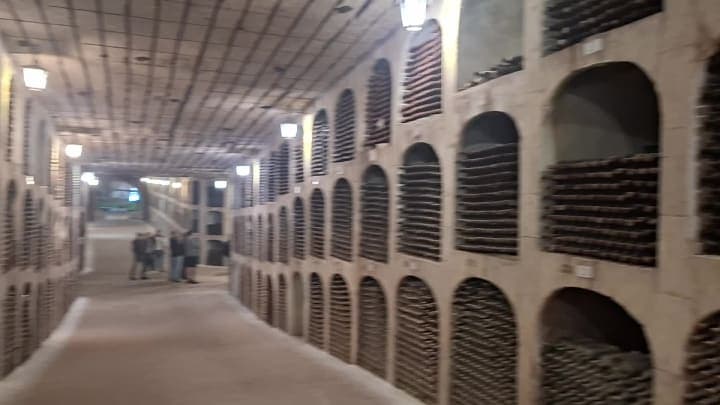 Altos11 gallery media